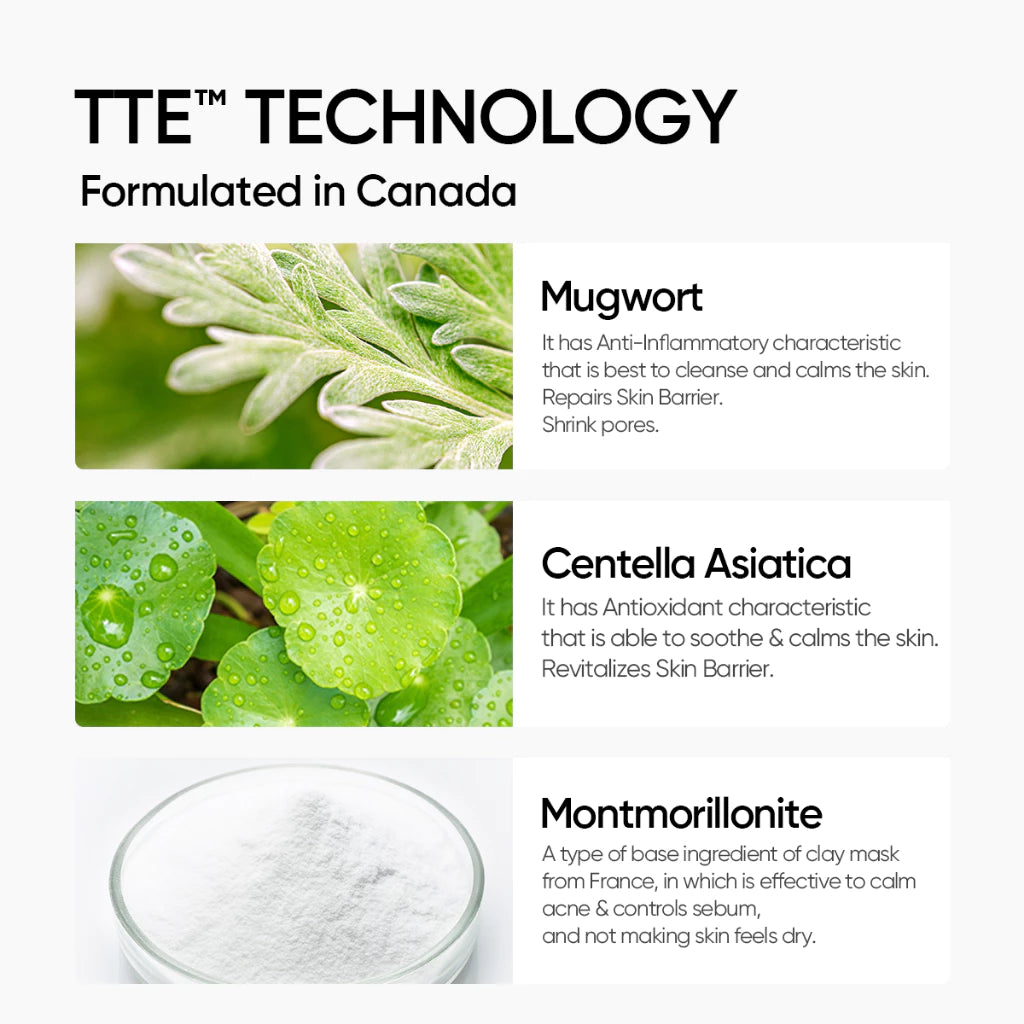 Mugwort Anti Pores & Acne Clay Mask
