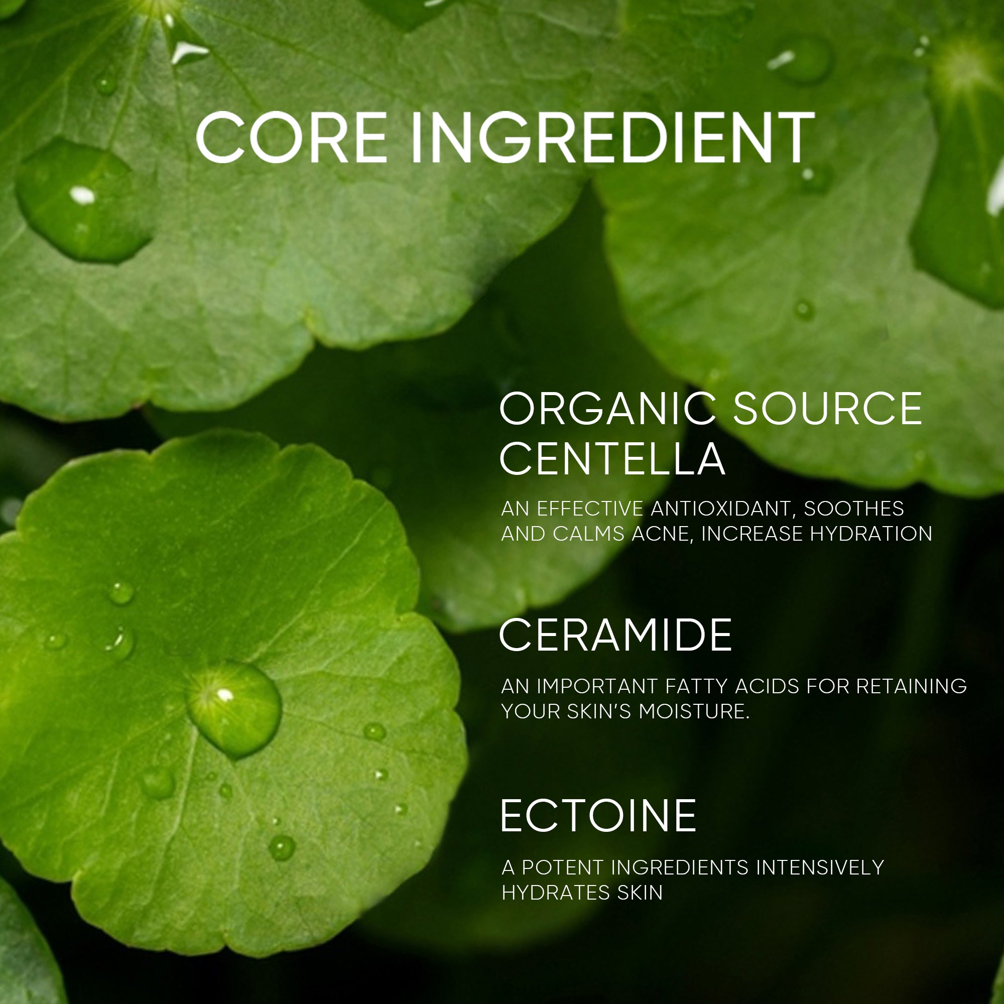 Tonique Apaisant Acné Centella Pure 80ml pour Peaux Sensibles et à Tendance Acnéique