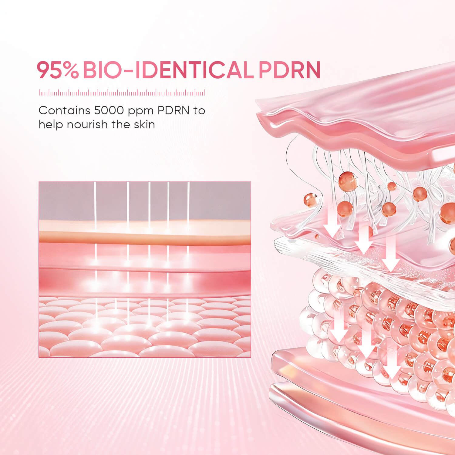 SKINTIFIC PDRN Bright & Smooth Serum Glass Skin Serum